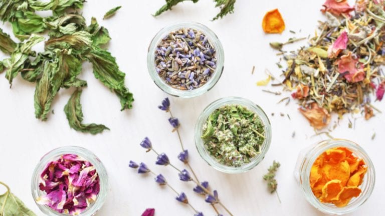 An Introduction to Herbs! | Common Market